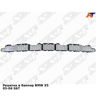 Решетка в бампер BMW X5 03-06 SAT